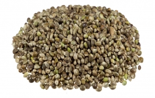 DIOICA 88